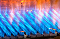 Auchinloch gas fired boilers